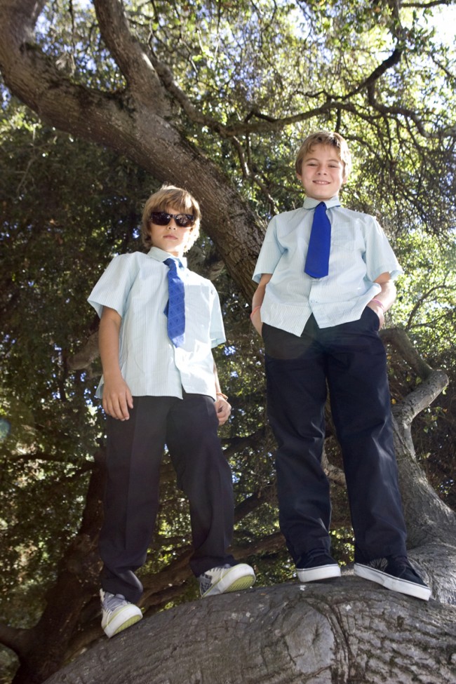 boysintrees