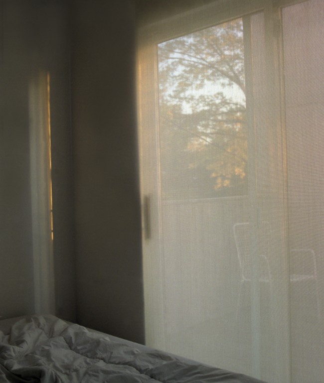 window
